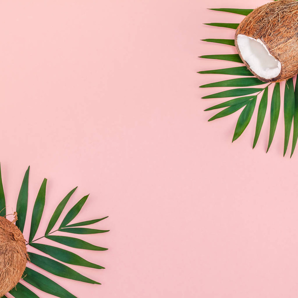 ヤシの葉とピンクのパステル調の背景にココナッツ - 写真・画像