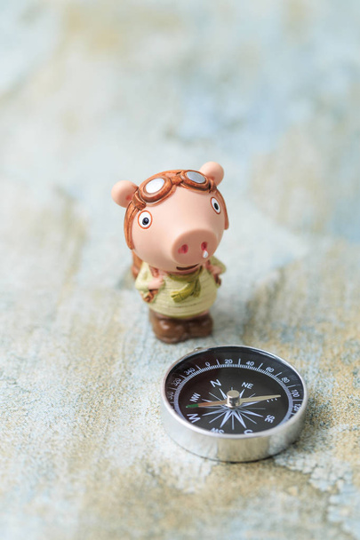Lalka świnia i kompas - Zdjęcie, obraz