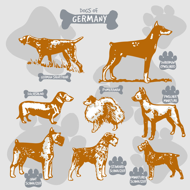 Dogs breeds of the world vector draw and shilouette on isolated illustration by countries with names, Germany 2 - Vector, Image