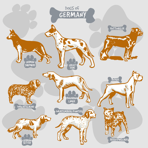 Kutyák tenyészt-ból világ vektor húz és shilouette-ra elszigetelt illusztráció országok-val nevek, Németország 1 - Vektor, kép