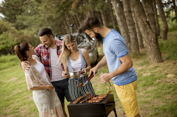 Jeunes profitant d'une fête barbecue dans la nature
 - Photo, image
