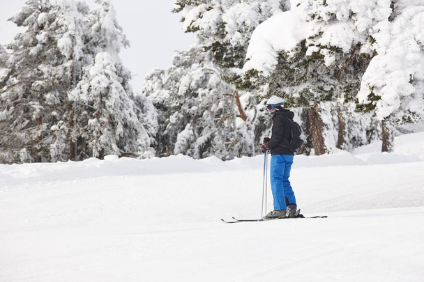 Sciare su un bellissimo paesaggio boschivo di neve. Sport invernali
 - Foto, immagini
