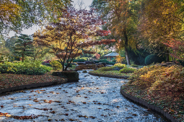 Japanischer Garten - Foto, Bild
