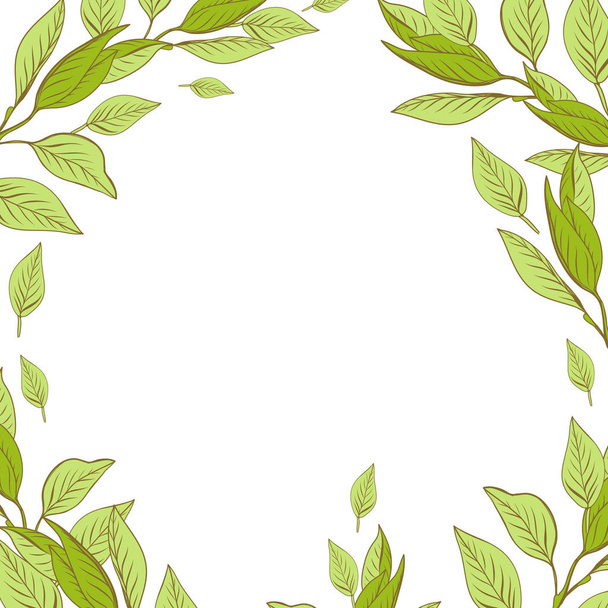 Οργανικό πλαίσιο με πράσινα φύλλα και χώρο αντιγραφής - Διάνυσμα, εικόνα