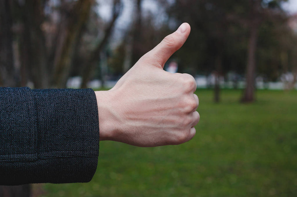 Značka schválení typu, svalované rukou na pozadí přírody, velký palec - Fotografie, Obrázek