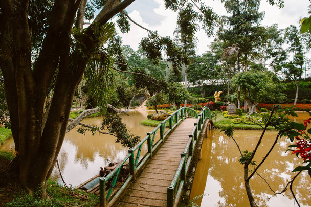 Garden plants in the park Prenn. Vietnam - Φωτογραφία, εικόνα