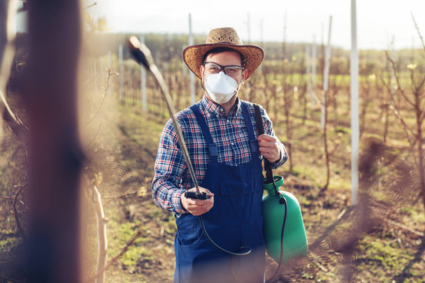Young farmer spraying the trees with chemicals in the orchard  - Foto, Imagen