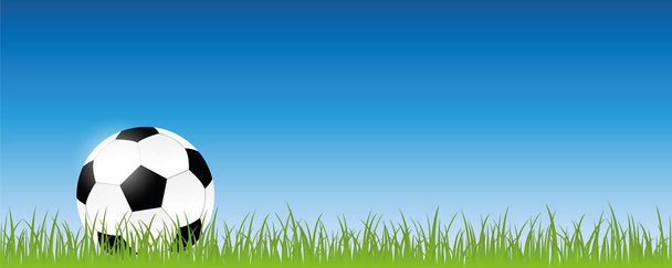 football on green meadow banner with copy space - Vector, Imagen