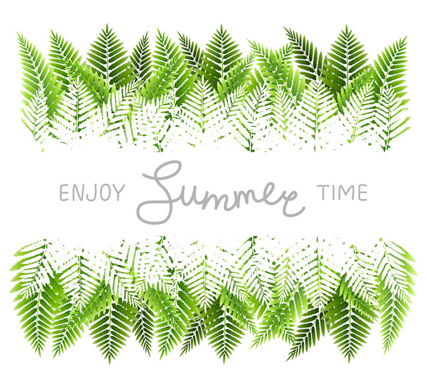 Green fern leaves border with place for text isolated on white background - Вектор,изображение