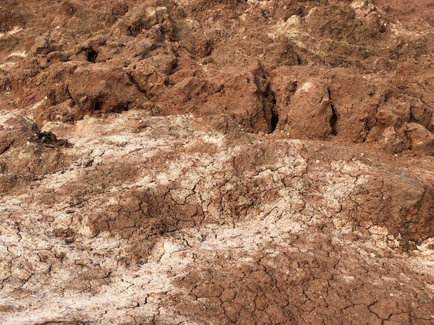 Suchá Hlinitá zemina s bílou solí na povrchu. Suchá půda s trhlinami. Bílá sůl na Rudém hliněném povrchu. - Fotografie, Obrázek