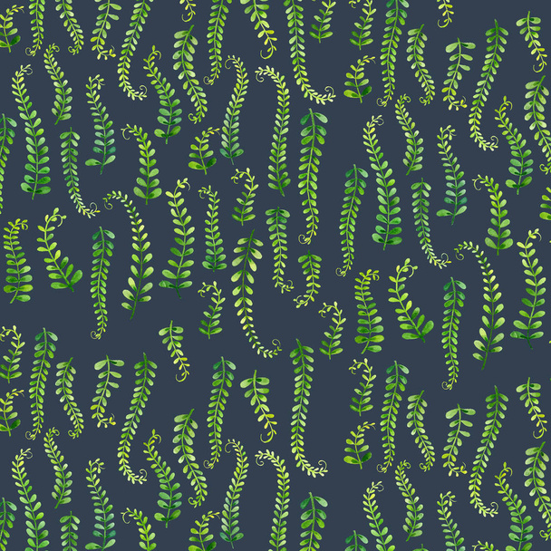 ilustracja akwarela naturalnego wzoru z zielonymi oddziałami na ciemnoniebieskim - Zdjęcie, obraz