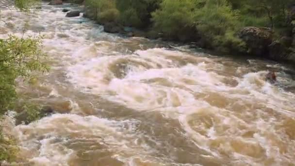 Kaunis luonnollinen torrent Stormy Mountain River. Flash Flood Muddy joki. Rushes River Raging Nopeasti virtaava vesi. Luonnonkatastrofit Stormy Brown Turbid Water Flow
 - Materiaali, video