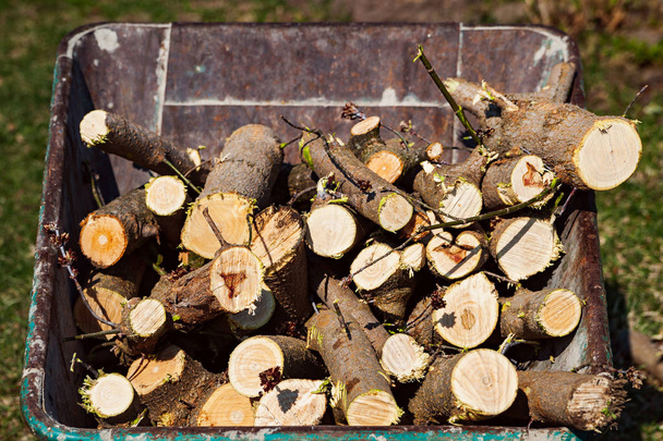 Підготовка до дров. Купка подрібненої деревини
. - Фото, зображення