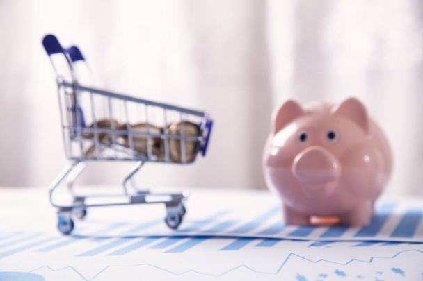 Piggy bank, financial graphs and shopping cart. Business concept - Photo, Image