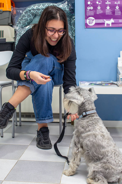 Cliente esperando com seu animal de estimação em uma clínica veterinária
 - Foto, Imagem