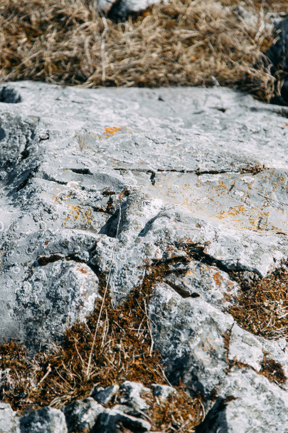 Natural textures for design. The texture of the stone with the moss.  - Fotó, kép