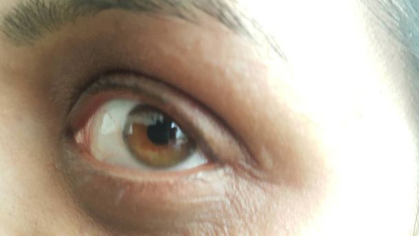 Closeup macro view of human brownish eye with long eyelashes and eyebrows - Fotó, kép