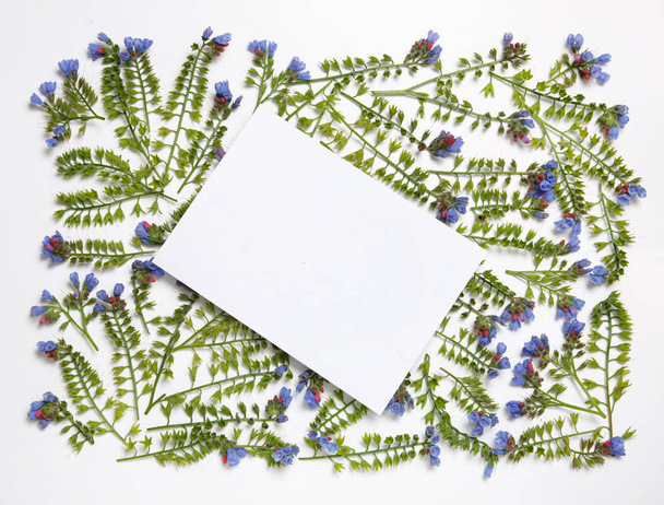 Floral frame made from the flowers Symphytum laid out pattern on a white background. - Foto, Imagem