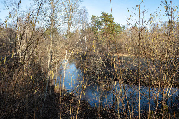 brudnej leśnej rzece wiosną. woda zanieczyszczona starymi pniami drzew i resztek - Zdjęcie, obraz