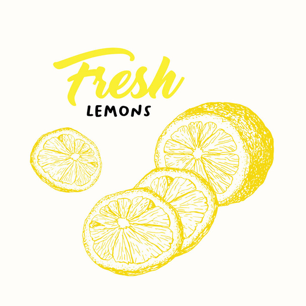 Fresh lemon color vector illustration - Vector, Imagen
