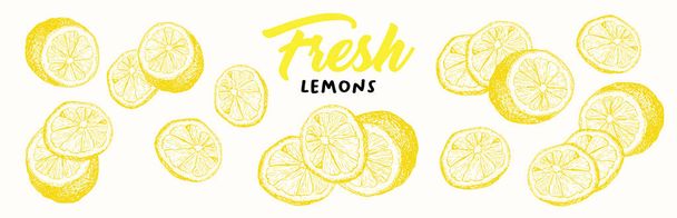 フレッシュレモンのスケッチイラスト - ベクター画像