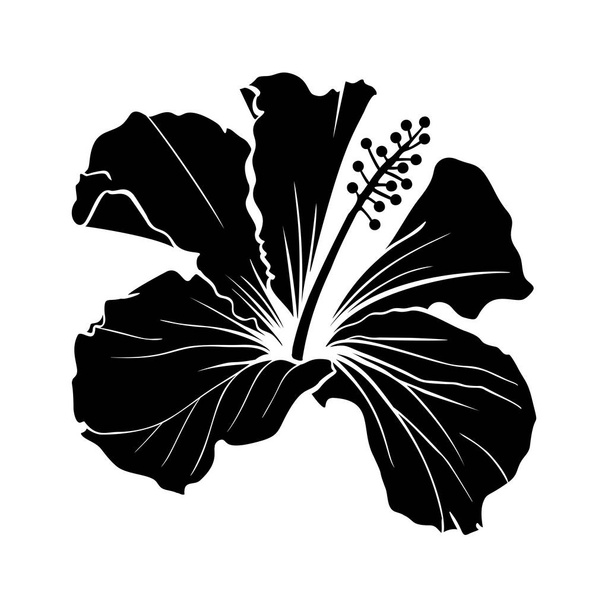 Hawaiian Hibiscus laser taglio silhouette vettoriale. - Vettoriali, immagini