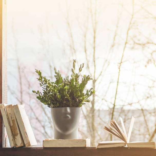 Livros abertos sobre peitoril da janela vintage com um belo vaso de flores. Contexto dos livros
 - Foto, Imagem
