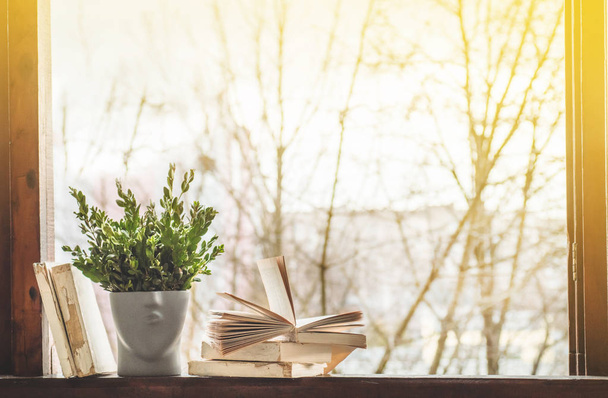 Opened books on vintage windowsill with a beautiful flower vase. Background from books - Photo, Image