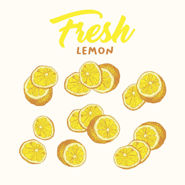 Lemon hand drawn color illustrations set - Διάνυσμα, εικόνα