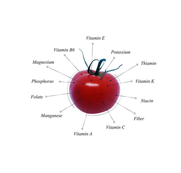 Tomato nutrients. Vegetable information. Illustration. Healthy diet - Photo, Image
