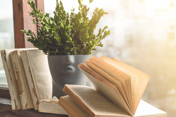 Opened books on vintage windowsill with a beautiful flower vase. Background from books - Fotoğraf, Görsel