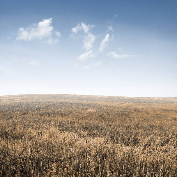 ég és őszi mezők - Fotó, kép