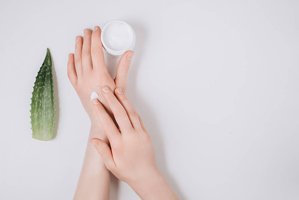 Beautiful groomed woman's hands with organic cream jar and Aloe vera fresh leaves on white background. Moisturizing cream for clean and soft skin. Flat lay, top view, copy space. Healthcare concept. - Fotografie, Obrázek