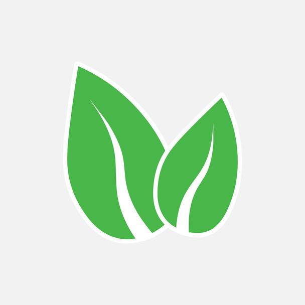 Green leaf, Eco icon. Vector illustration, flat design. - Vektor, obrázek