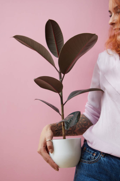 A smiling girl with a tattoo holds a pot with a ficus flower around a pink background with copy space. Mother's Day Gift Concept - Fotoğraf, Görsel