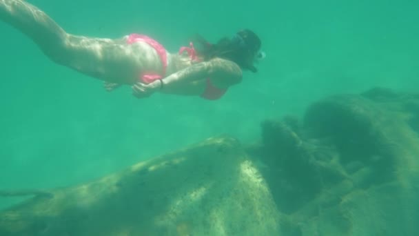 Unterwasser, Zeitlupe: Eine aktive junge Frau im Sommerurlaub in Vanuatu schwimmt um ein abgestürztes Militärflugzeug. faszinierte Schnorchelinnen über versunkenen Flugzeugen, die auf dem Grund des wunderschönen Ozeans sitzen. - Filmmaterial, Video