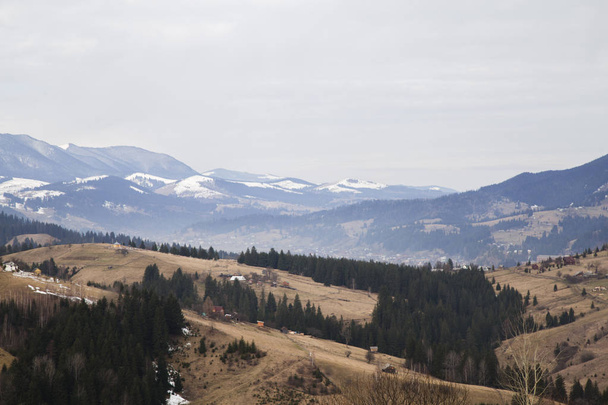 spring landscape near Synytsi, Verhovyna village - Φωτογραφία, εικόνα