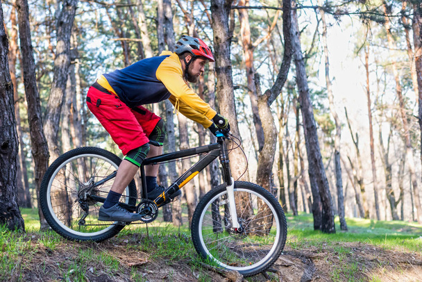 Fietsen, een fietser in lichte kleren rijden een mountainbike door het bos. Actieve levensstijl. - Foto, afbeelding