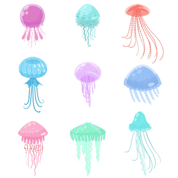 Set of colorful sea and ocean jellyfish marine creature - Vetor, Imagem