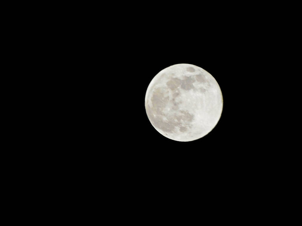 De volle maan van 19 februari 2019 - Foto, afbeelding