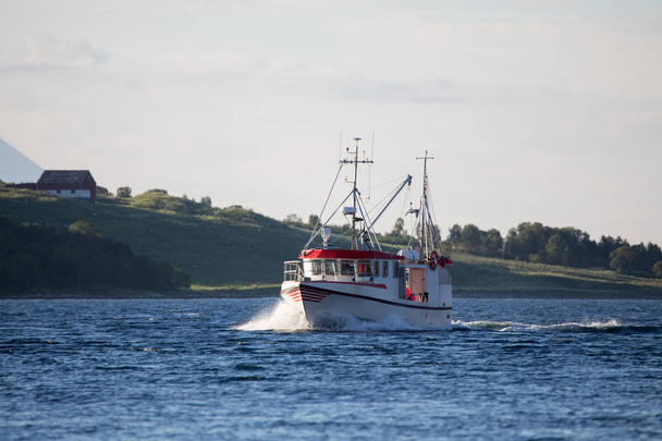 Barca da pesca bianca e rossa sul mare. Fiordo in Norvegia
. - Foto, immagini