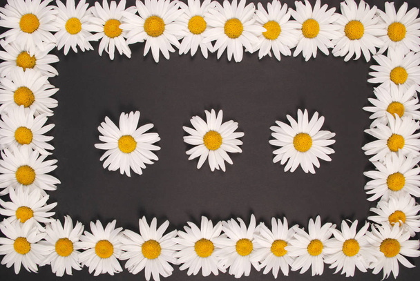 Kamille frame met ruimte voor tekst, Floral Herbal ansichtkaart - Foto, afbeelding