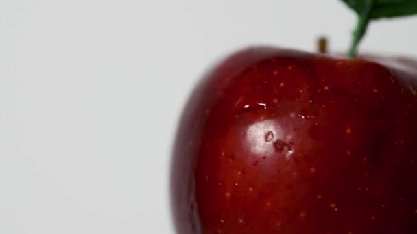 Self rotating red apple with a leaf on a white background. - Filmati, video