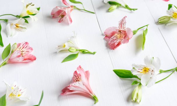 Pattern of natural flowers Alstroemeria on a white wooden background. Floral pattern. Pink and white flowers of Alstroemeria on a white background. Flat lay, top view. - Fotoğraf, Görsel