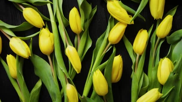 Bellissimi tulipani gialli su sfondo nero in legno rustico. Vista dall'alto
 - Filmati, video