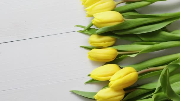 Fila de tulipas amarelas frescas na mesa de madeira branca
 - Filmagem, Vídeo