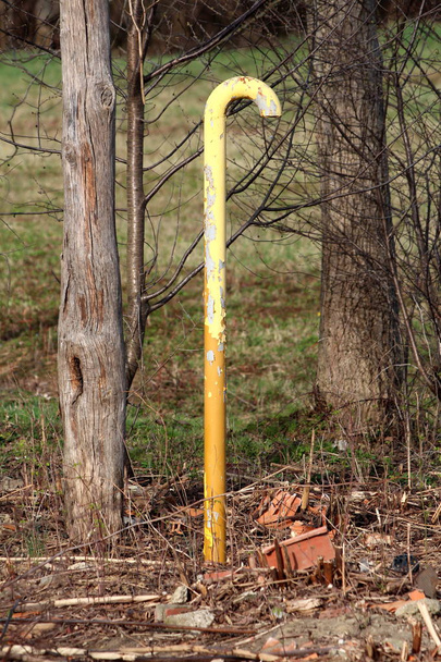 Κίτρινο μέταλλο καραμέλα ζαχαροκάλαμο σχήμα εξαερισμού σωλήνα με σπασμένη μπογιά που προεξέχει από το έδαφος περιβάλλεται με σκουπίδια και ψηλά δέντρα σε ζεστή ηλιόλουστη μέρα άνοιξη - Φωτογραφία, εικόνα