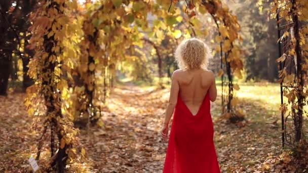 Sonbahar Park'ta yürüyordunuz uzun kırmızı elbiseli güzel ve seksi sarışın kadın. - Video, Çekim