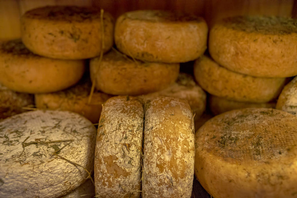 Традиційний сир раунд в Італії - Фото, зображення