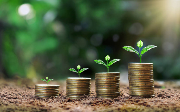 Grow kleine planten met munten gestapeld op de grond en geld besparen ideeën. - Foto, afbeelding